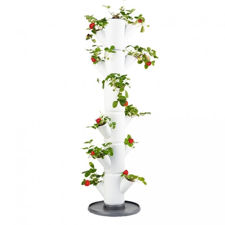 Gusta Garden SISSI STRAWBERRY classic samozavlažovací truhlík 6 poschodí biely