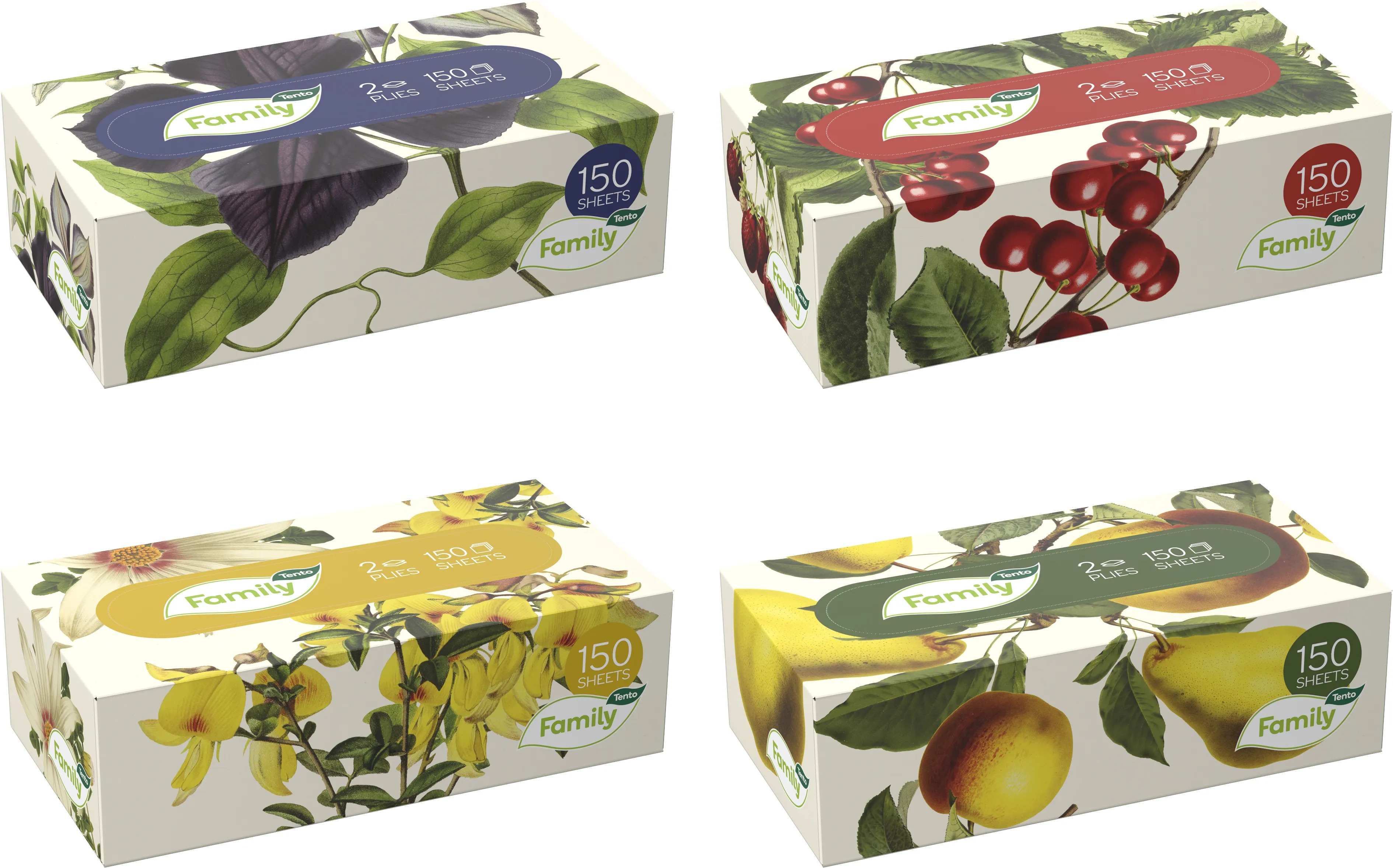 TENTO Family Ecomony box (150 ks)