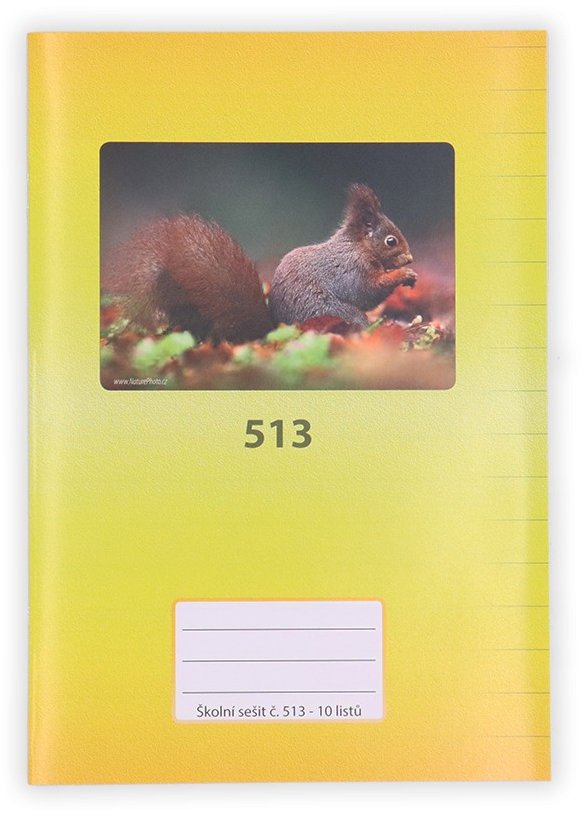 PAPÍRNA MARTINÍK 513, A5 linajkový, 10 listov