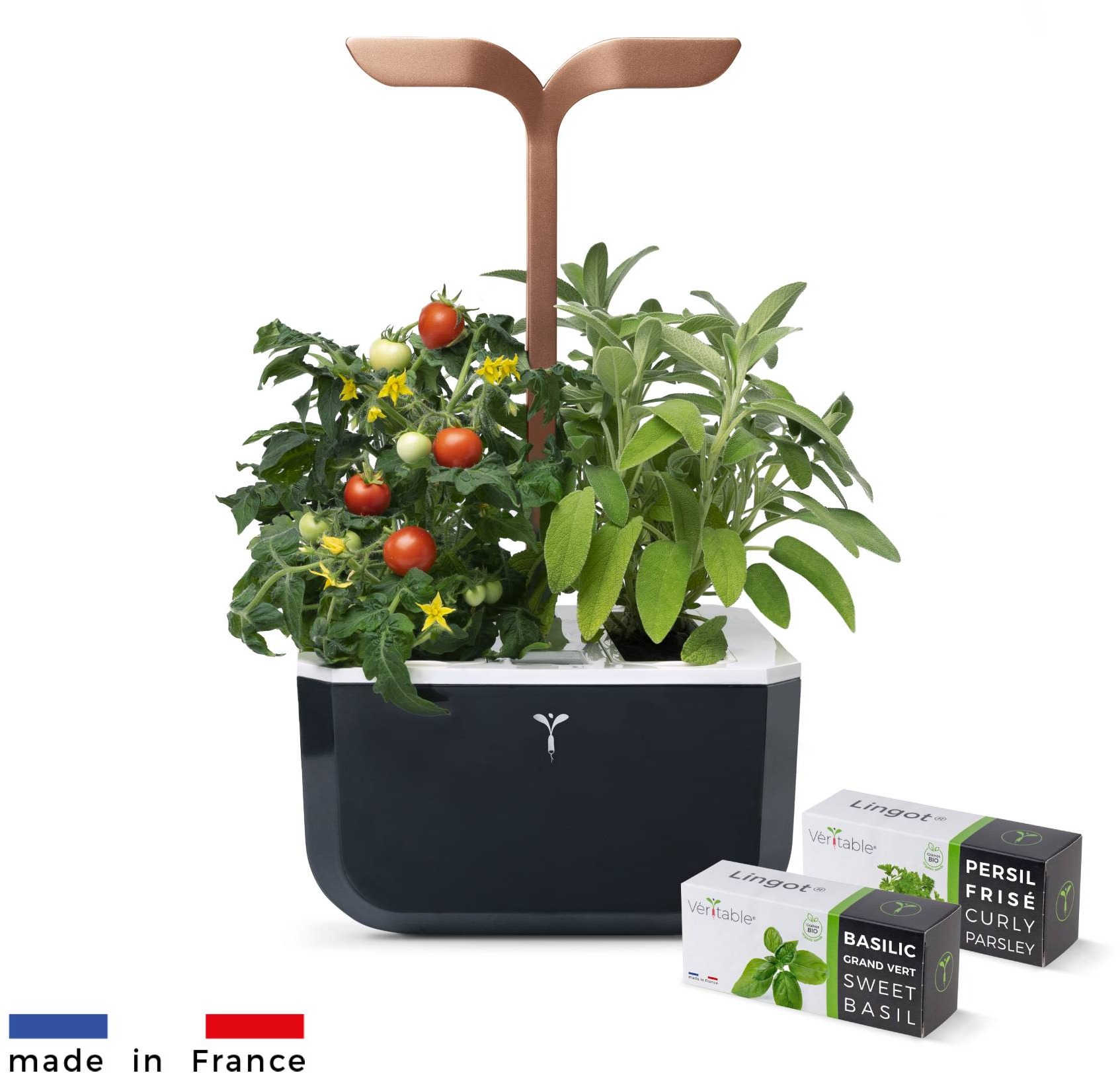 Exky Smart – Automatický kvetináč s reguláciou osvetlenia, čiernomedený + 2 bylinkové náplne