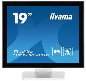 19