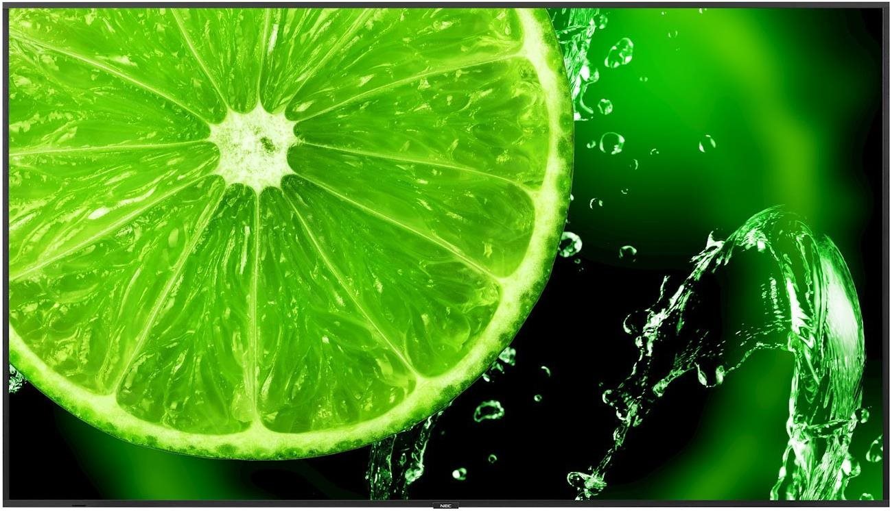 86" NEC MultiSync E868