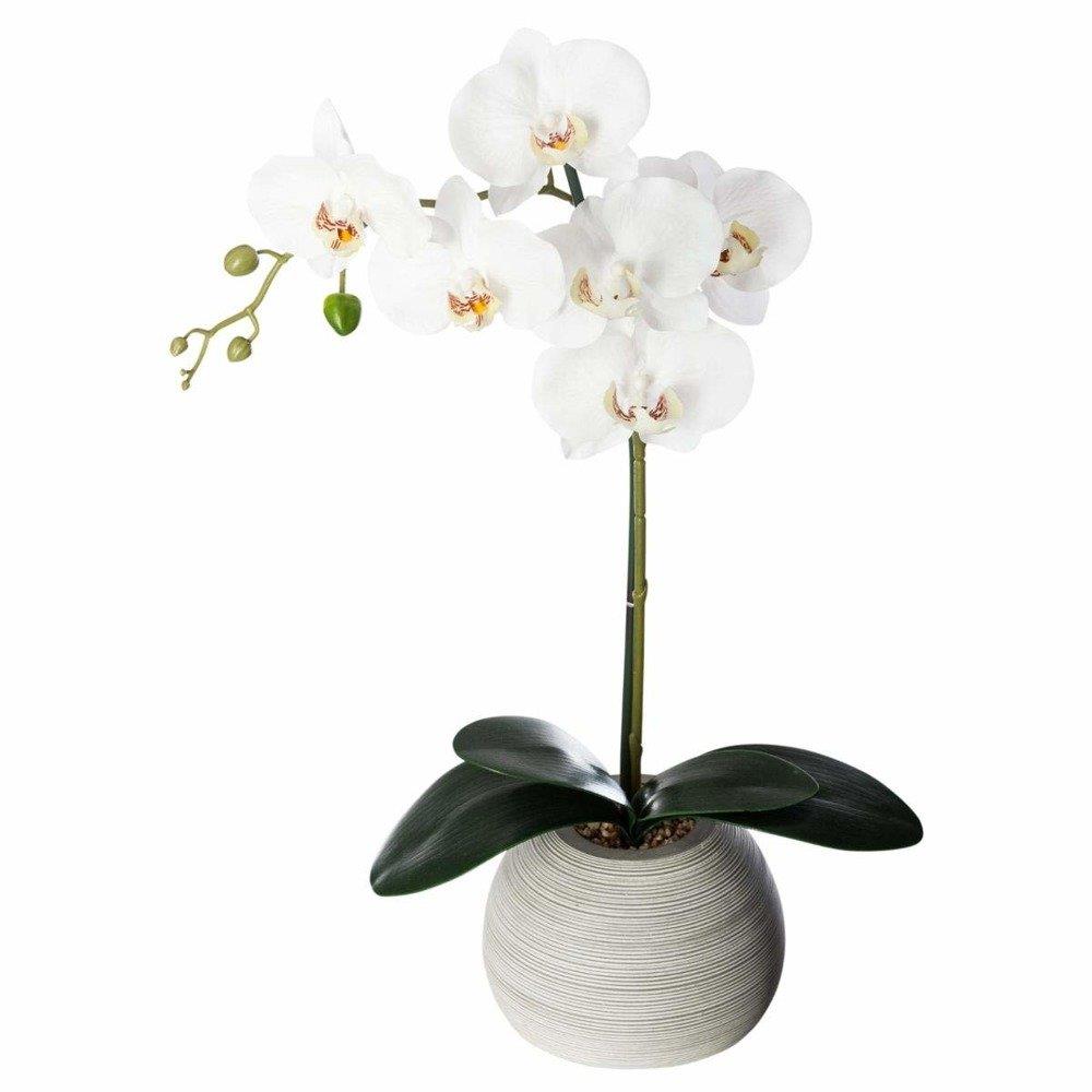 ATMOSPHERA Orchidee Real Touch Cim H.53