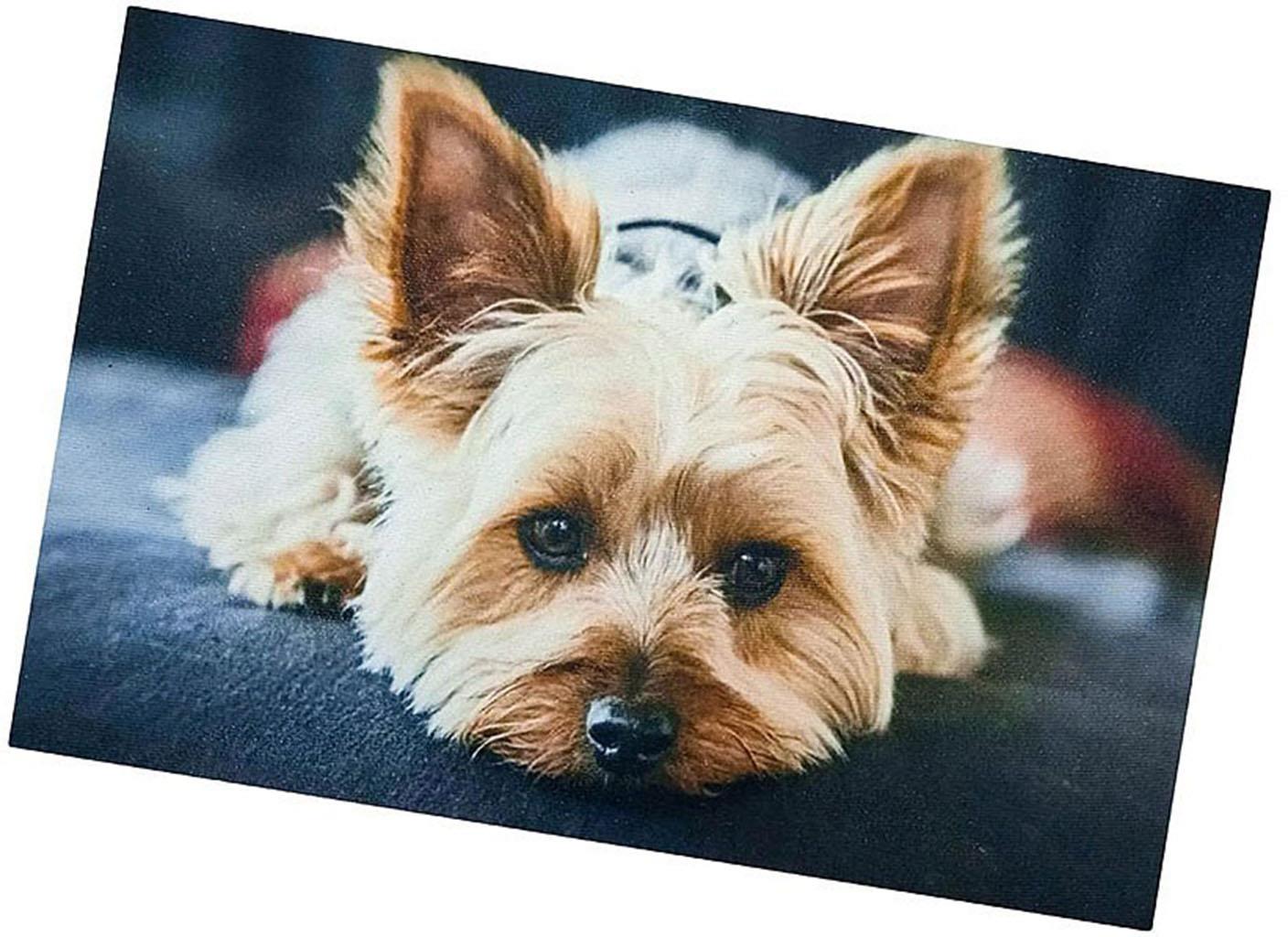 Excellent Protišmyková podložka Dog – Yorkshirský teriér 40 × 60 cm