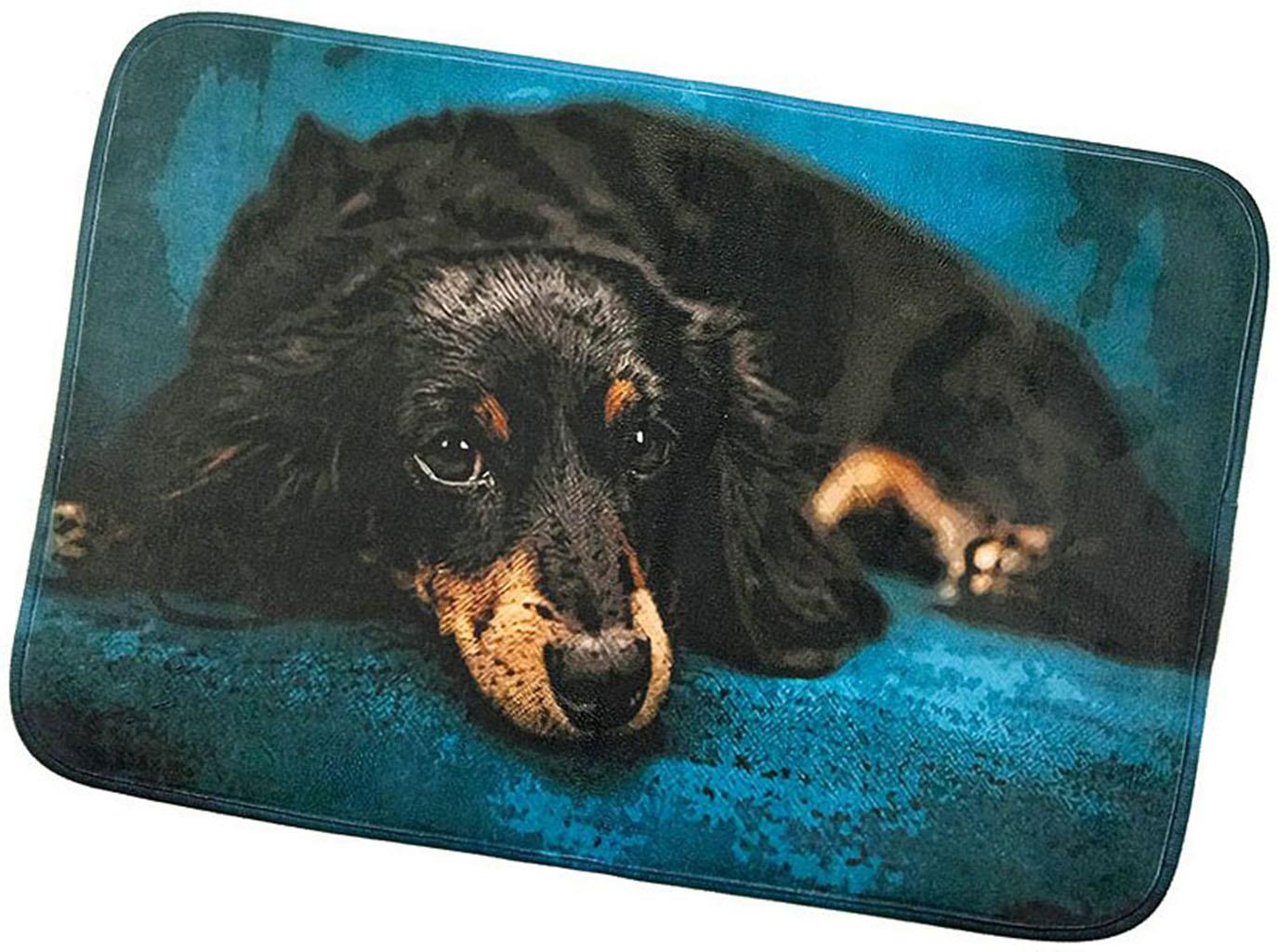 Excellent Protišmyková podložka Dog – Jazvečík 40 × 60 cm
