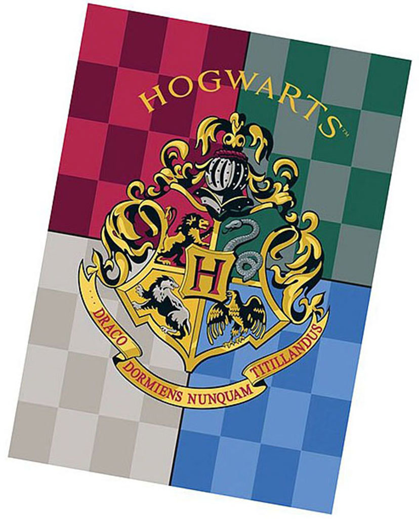 CARBOTEX Flísová deka 140 × 100 cm, Harry Potter – Hogwarts