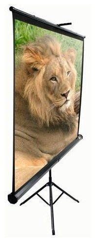 ELITE SCREENS, mobilná trojnožka 119" (1:1)