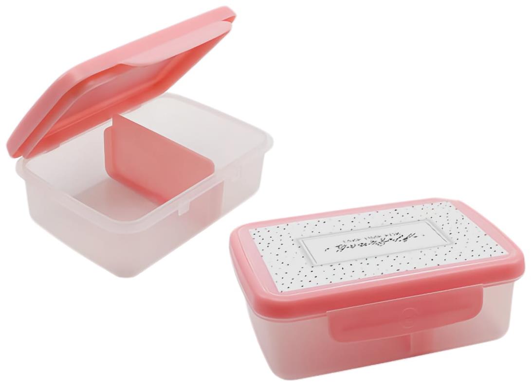 ZDRAVÁ LAHEV SCANDI Zdravá desiata box ružová