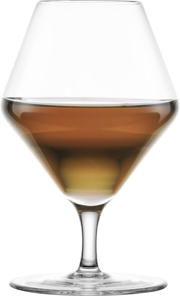 Zwiesel Glas Sada sklenic na výrazné a aromatické nápoje 319 ml 2 ks DÉBUT