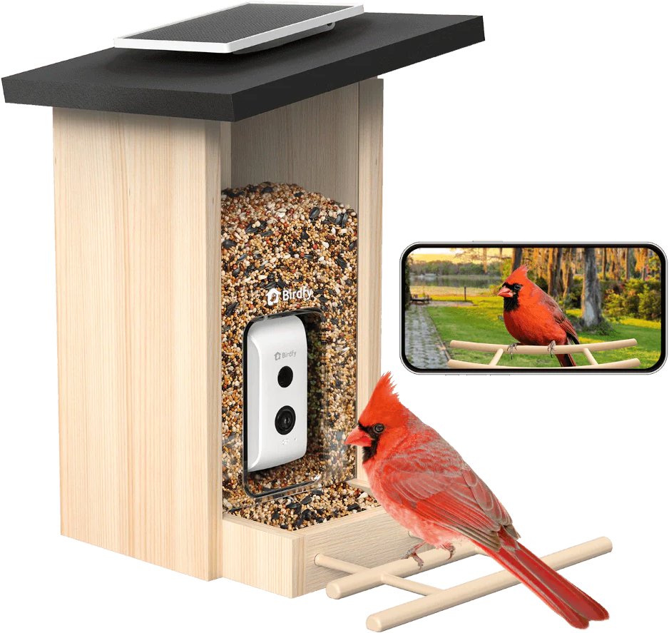 Birdfy Feeder Ebony – 7 dní AI zadarmo