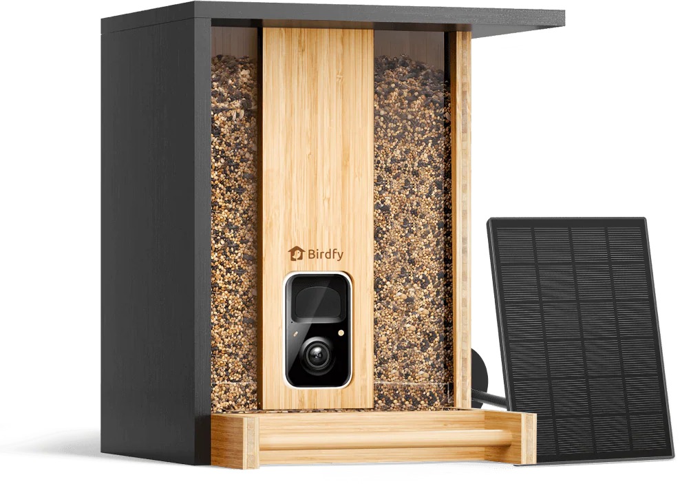 Birdfy Feeder Bamboo Solar – 7 dní AI zadarmo