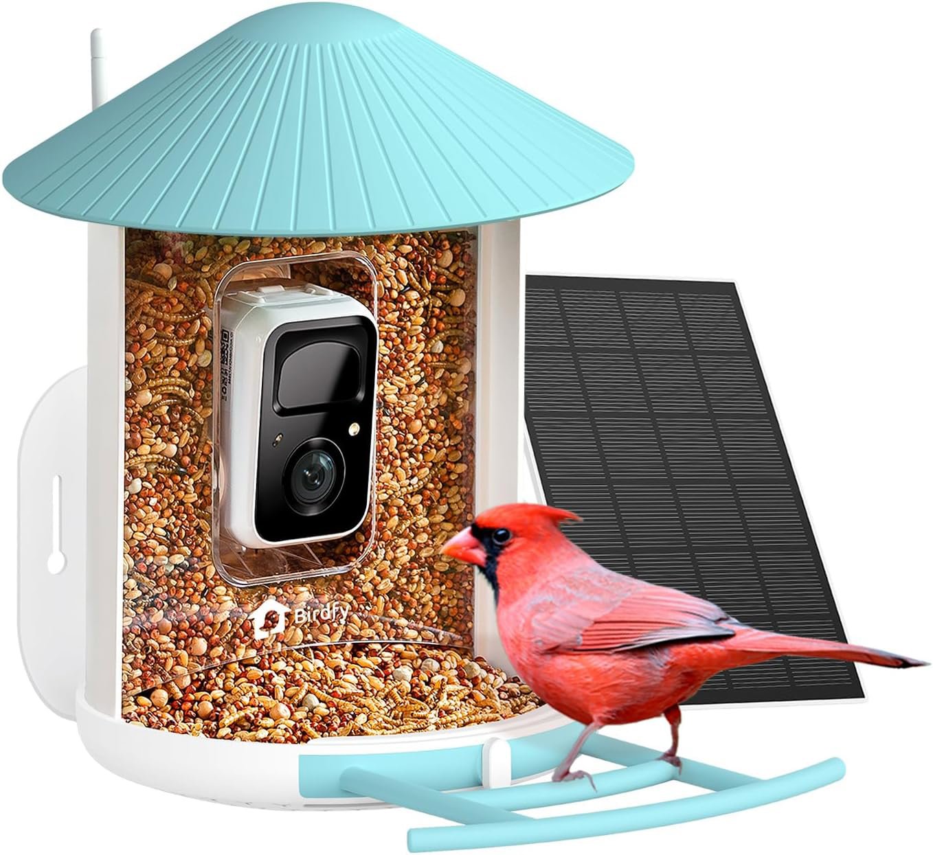 Birdfy Feeder Solar – 7 dní AI zadarmo