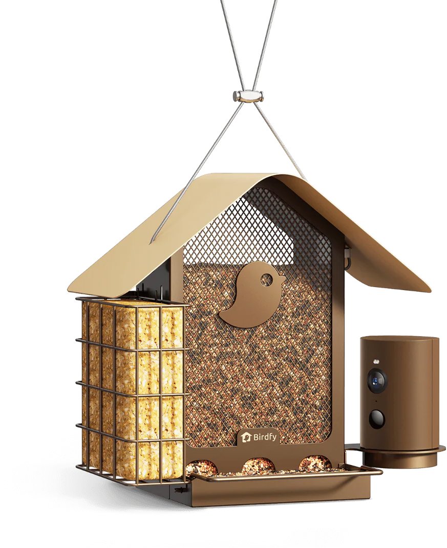 Birdfy Feeder Metal V vtáčie kŕmidlo s kamerou